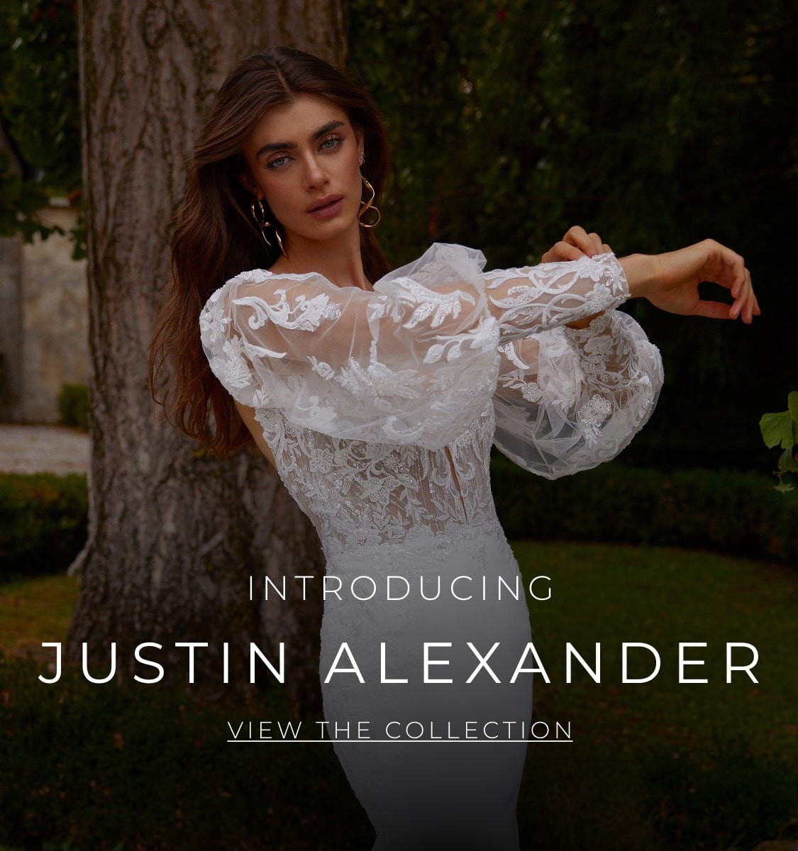 justin alexander fall 2024 banner
